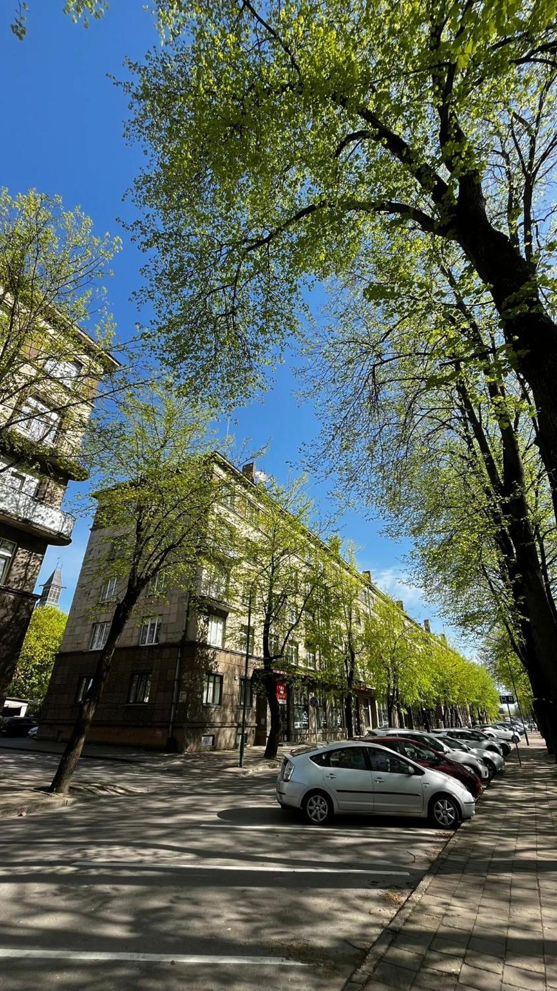 Heritage House Dane Apartment Klaipėda Buitenkant foto